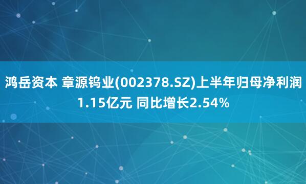 鸿岳资本 章源钨业(002378.SZ)上半年归母净利润1.15亿元 同比增长2.54%