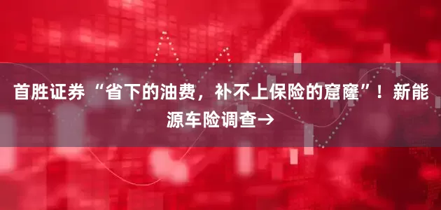 首胜证券 “省下的油费，补不上保险的窟窿”！新能源车险调查→